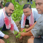 A Green Movement: Community Joins Hands for Eusuf Memorial society’s Roadside Plantation Drive